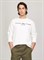 Свитшот мужской Tommy Hilfiger - фото 24741